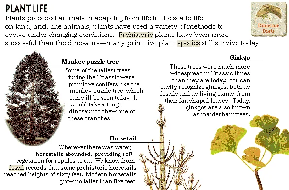 Plant Life