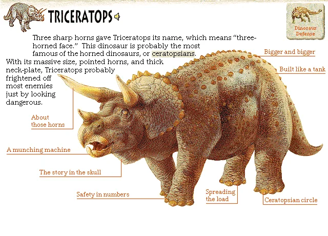Triceratops