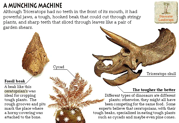A Munching Machine