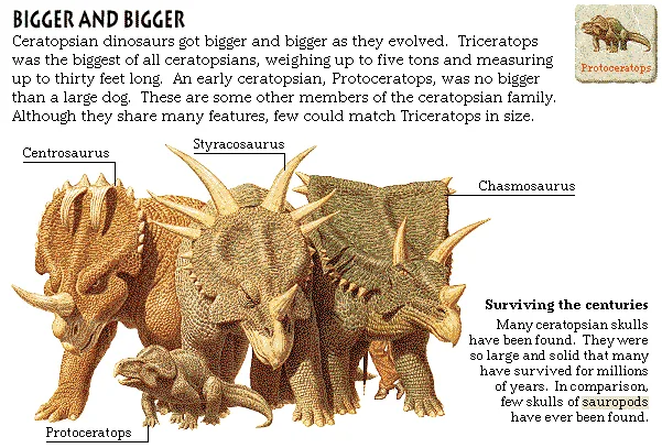 Bigger and Bigger