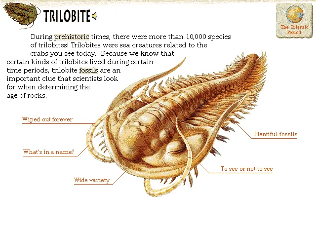 Trilobite