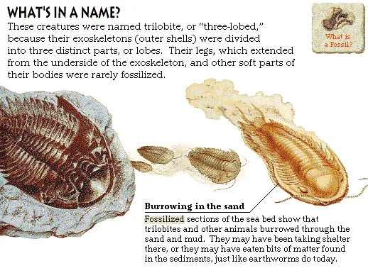 What's in a Name?