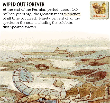 Wiped Out Forever