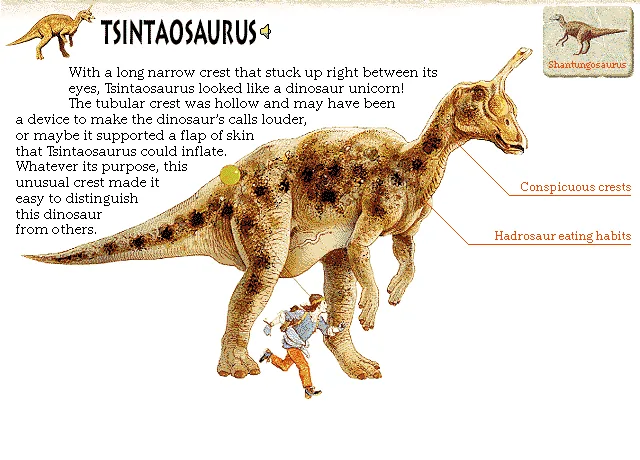 Tsintaosaurus