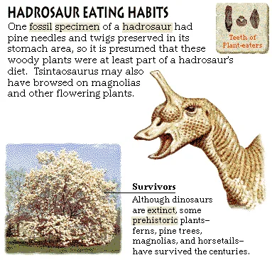 Hadrosaur Eating Habits