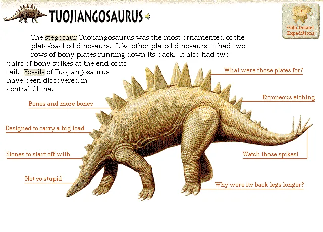 Tuojiangosaurus
