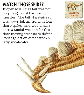 Watch Those Spikes!