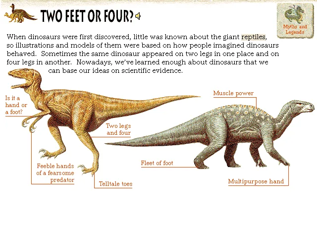 Two Feet or Four?