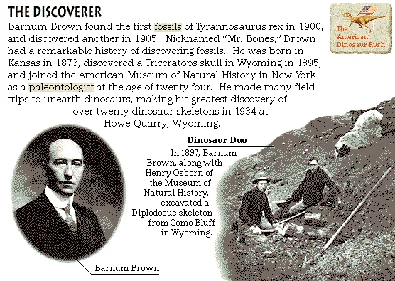 The Discoverer