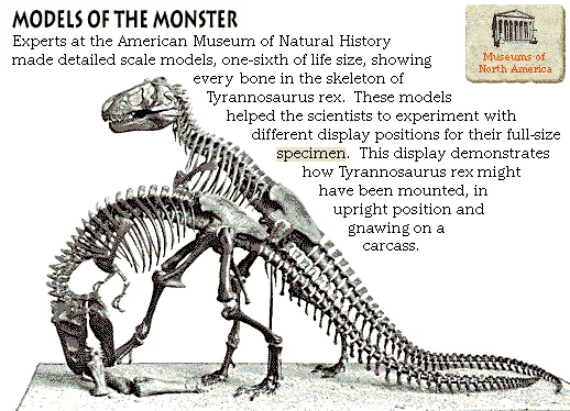 Models of the Monster