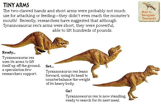 Tiny Arms
