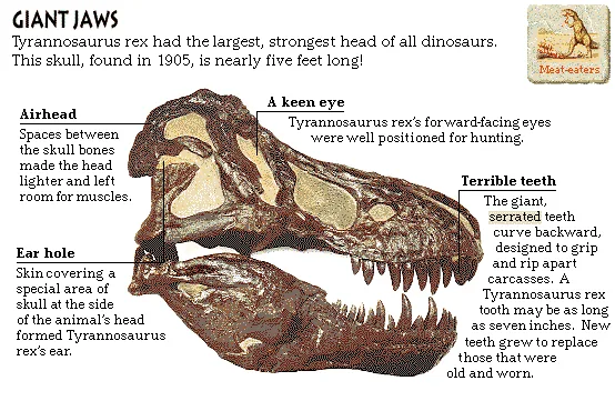 Giant Jaws
