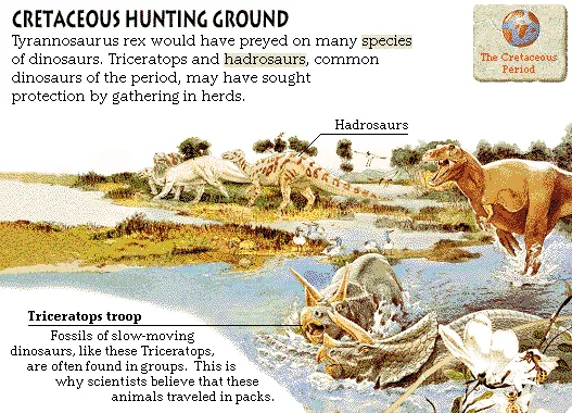 Cretaceous Hunting Ground