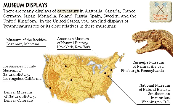 Museum Displays