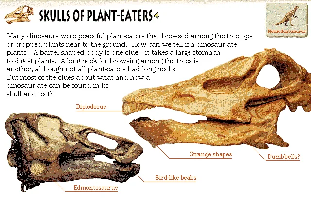 Skulls of Plant-Eaters