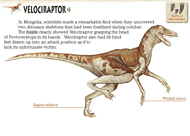 Velociraptor