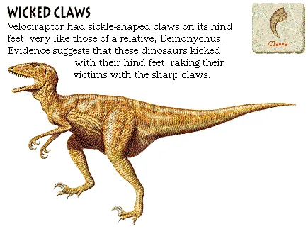 Wicked Claws
