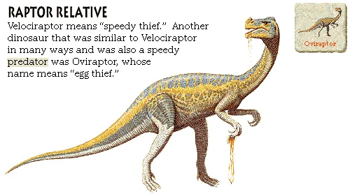 Raptor Relative