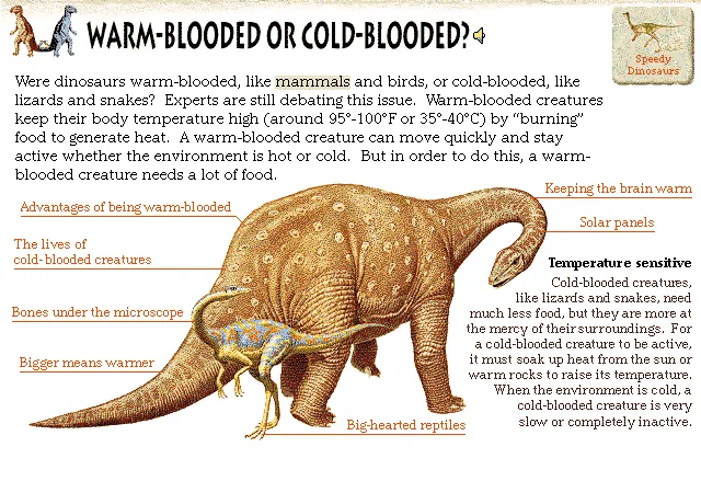 Warm-Blooded or Cold-Blooded?