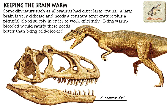 Keeping the Brain Warm