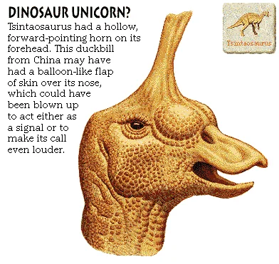 Dinosaur Unicorn?
