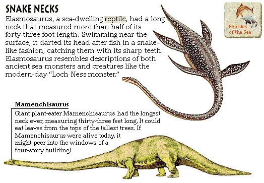 Snake Necks