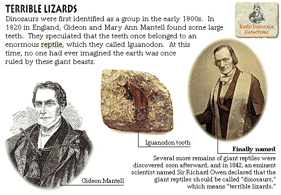 Terrible Lizards