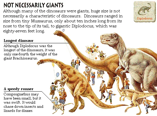 Not Necessarily Giants