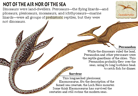 Not of the Air nor of the Sea