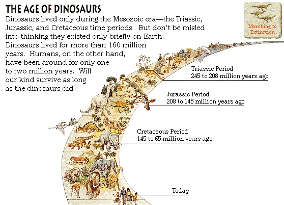The Age of Dinosaurs
